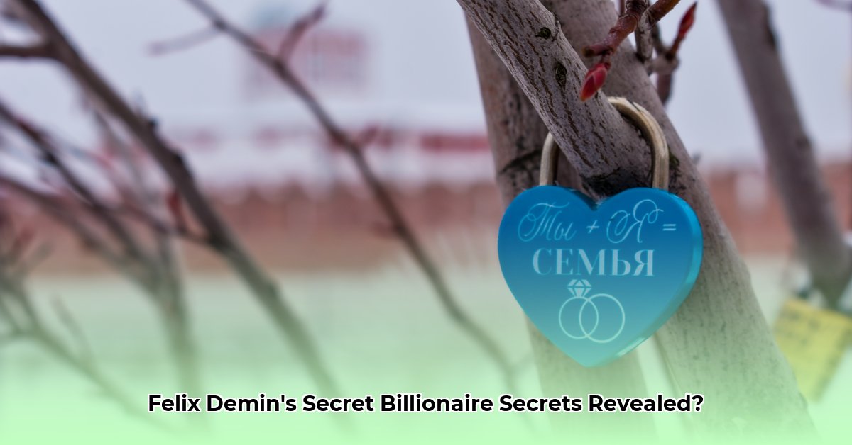 felix-demin-net-worth